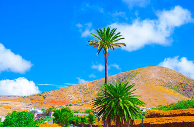 Beautiful volcanic landscape banner. travel. canary island. fuerteventura