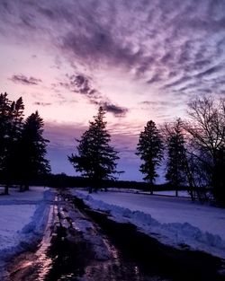 Trees on snow covered landscape against sky