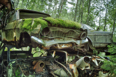 Abandoned cars in forest