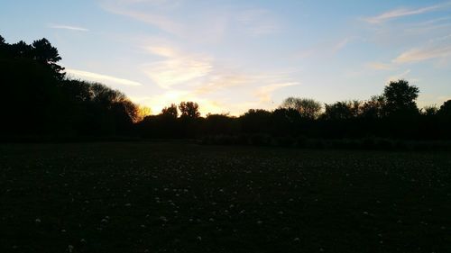 Silhouette trees on field against sky at sunset