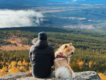 Dog sitting on rock