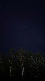 Low angle view of star field against sky at night
