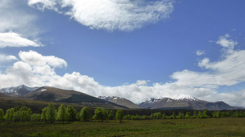 Scenic view of field and mountains against sky