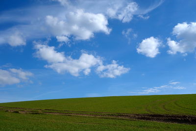 Scenic view of agricultural field against sky