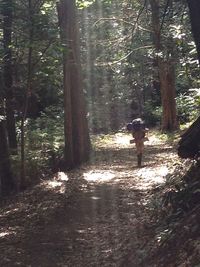 People standing on footpath in forest