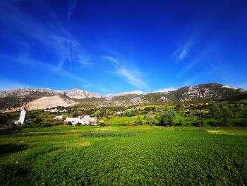 Scenic view of field against blue sky