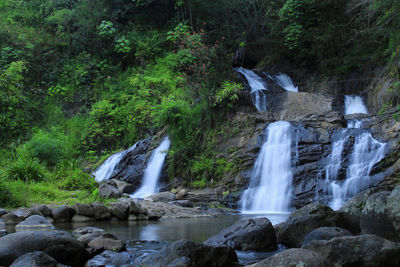 Scenic view of waterfall in forest