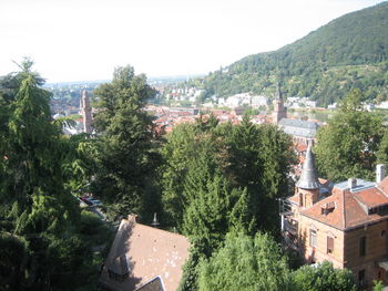 Trees and plants against sky
