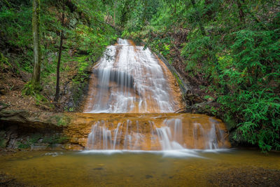 Scenic view of waterfall in forest