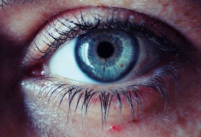 Close-up of human eye