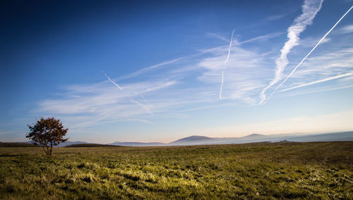 Scenic view of field against blue sky