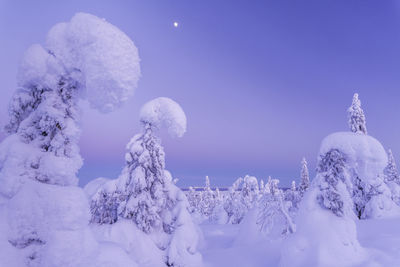 Low angle view of water