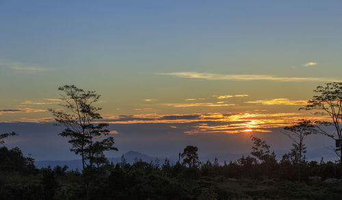 Scenic view of silhouette trees against sky during sunset