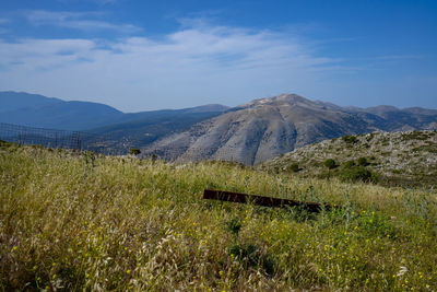 Scenic view of field against sky