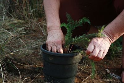 Midsection of woman working