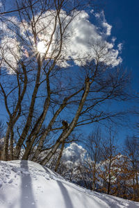 Road amidst trees against sky during winter