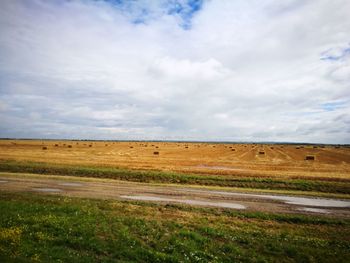 Scenic view of field against sky