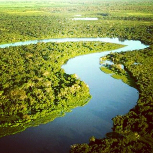 water, high angle view, reflection, green color, tranquility, tranquil scene, scenics, nature, landscape, beauty in nature, river, aerial view, grass, lake, tree, stream, day, elevated view, idyllic, green