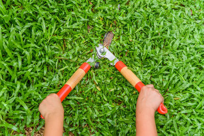 Cropped hands cutting grass with hedge clippers