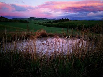 Scenic view of field against sky during sunset