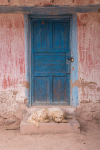 Closed door of old building