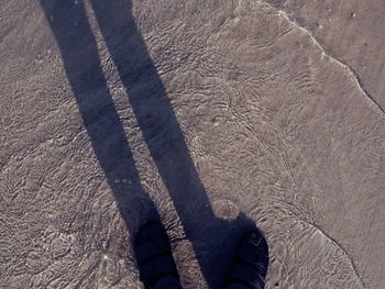 High angle view of shadow at beach