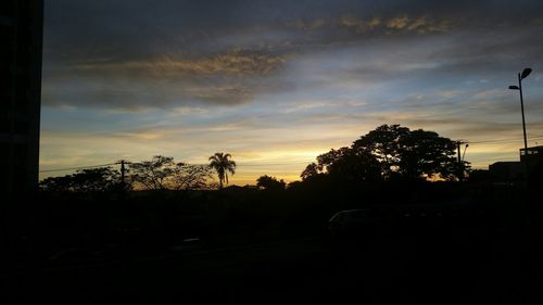 Silhouette of trees at sunset