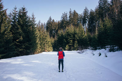 Rear view of person walking on snow covered field