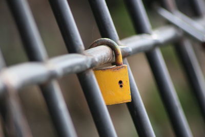 Close-up of padlock on gate