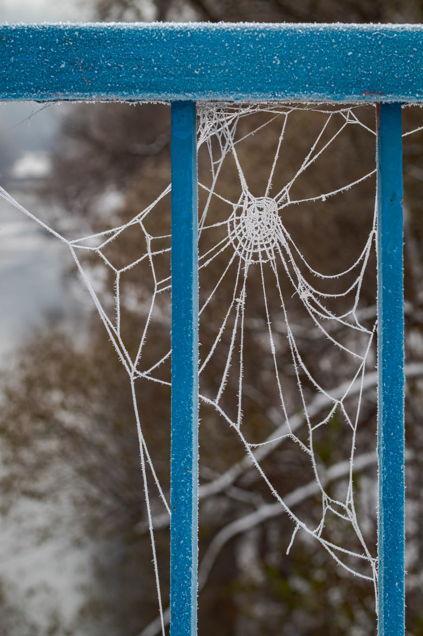 CLOSE-UP OF SPIDER WEB IN METAL FENCE