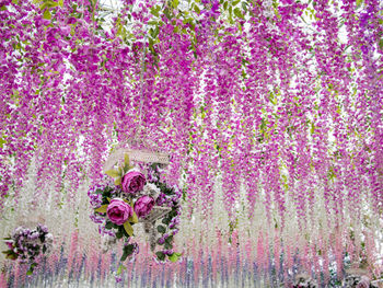 Full frame shot of purple flowers on tree