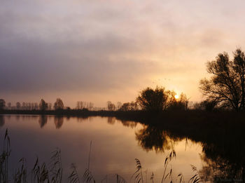 Reflection of trees in lake during sunset