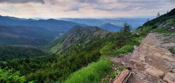 High angle view of green landscape against sky