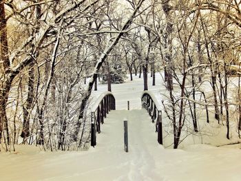 Bare trees on snow covered landscape