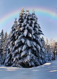 Snow covered land against sky