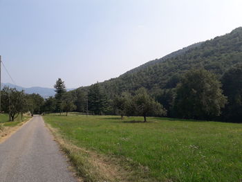 Road by trees against clear sky