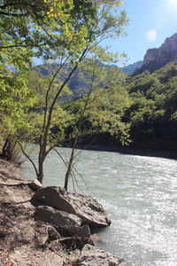 Scenic view of river against sky