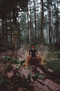 Rear view of person riding motorcycle motocross trees in forest