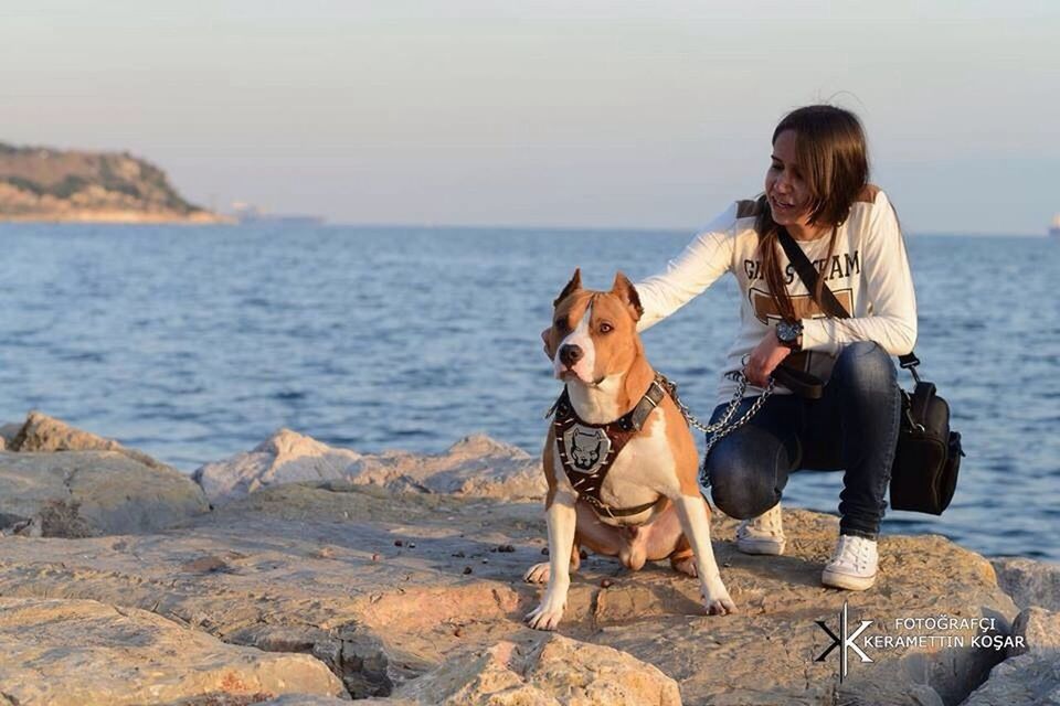 sea, beach, water, dog, lifestyles, leisure activity, shore, full length, domestic animals, animal themes, horizon over water, mammal, pets, one animal, sky, vacations, sand, casual clothing