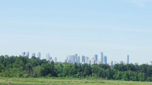 Trees and buildings against sky