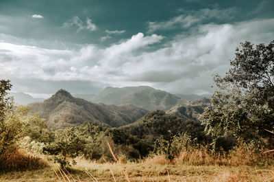 Scenic view of field and mountains against sky