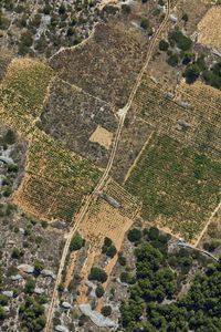 Aerial view of the farms in hvar island, croatia