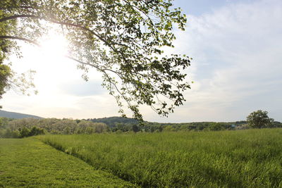 Scenic view of field against cloudy sky