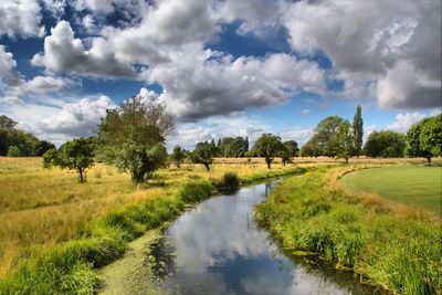 Scenic view of field against sky