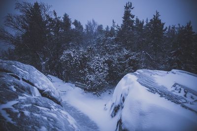 Scenic view of snow covered mountains