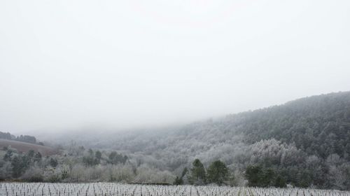 Scenic view of mountains in foggy weather