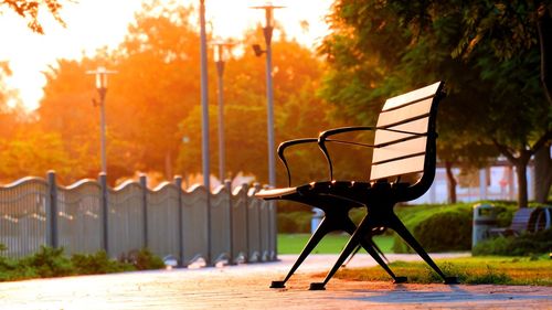 Empty chairs and tables in park during autumn