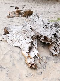 Close-up of sand on beach