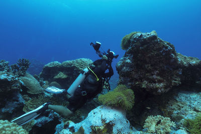 Man swimming in sea while photographing corals