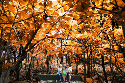 People walking on leaves during autumn
